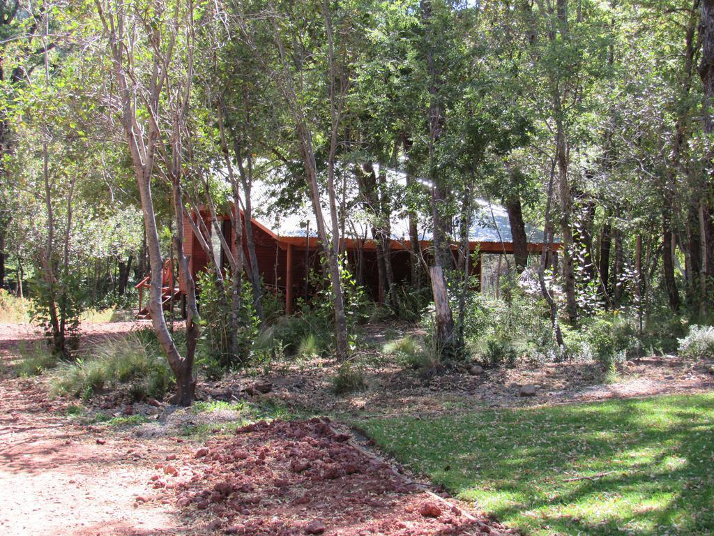Cabanas Roble Quemado Las Trancas Kültér fotó