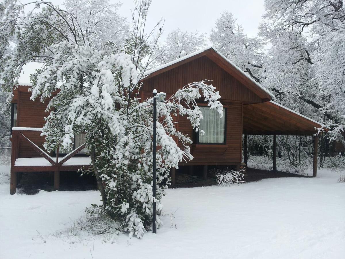 Cabanas Roble Quemado Las Trancas Kültér fotó