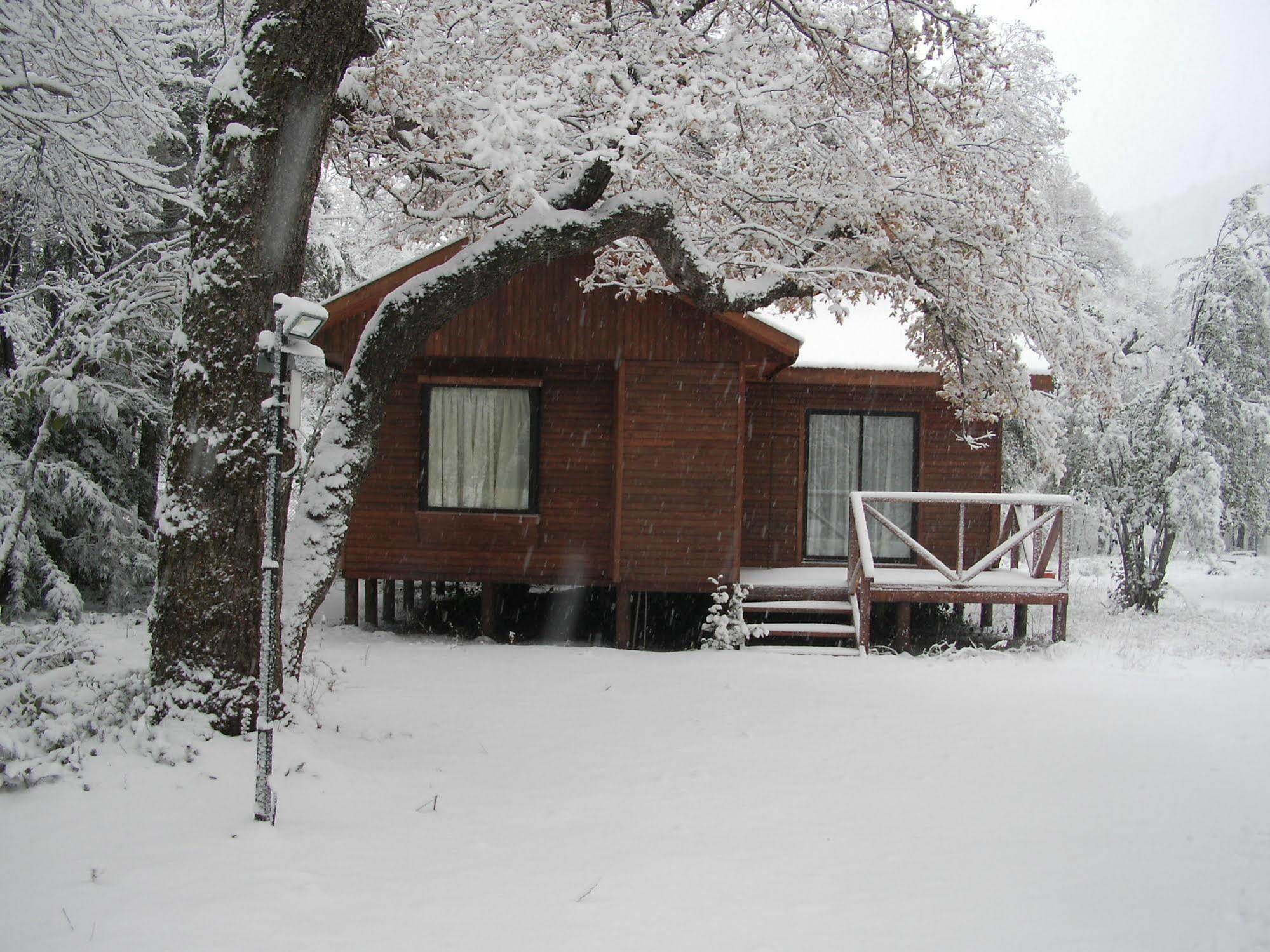 Cabanas Roble Quemado Las Trancas Kültér fotó