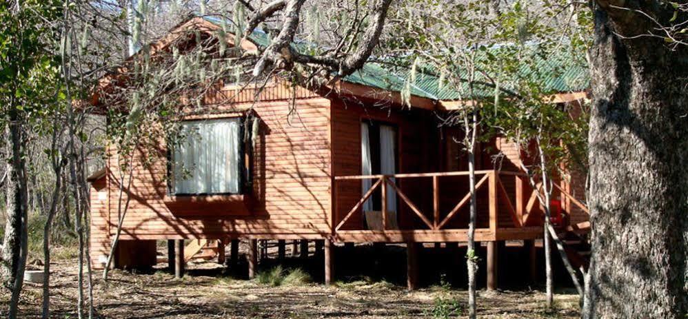 Cabanas Roble Quemado Las Trancas Kültér fotó
