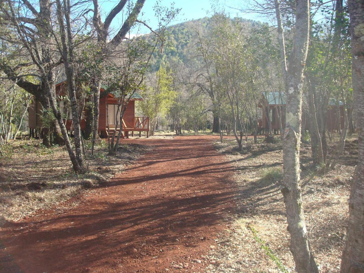 Cabanas Roble Quemado Las Trancas Szoba fotó