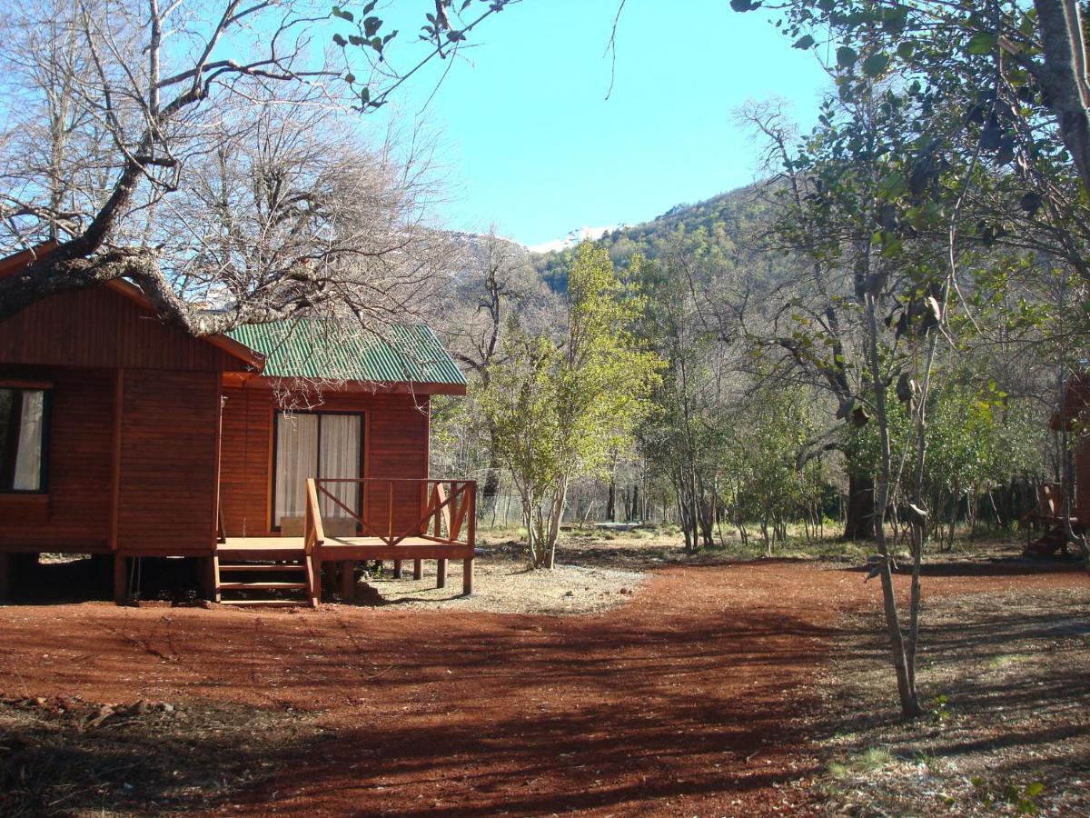 Cabanas Roble Quemado Las Trancas Szoba fotó